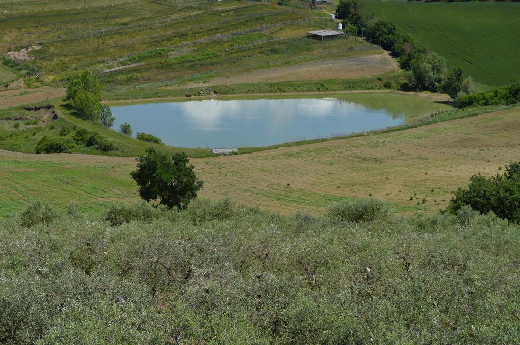 B&B La Casa Fra Gli Olivi Marsciano Kültér fotó