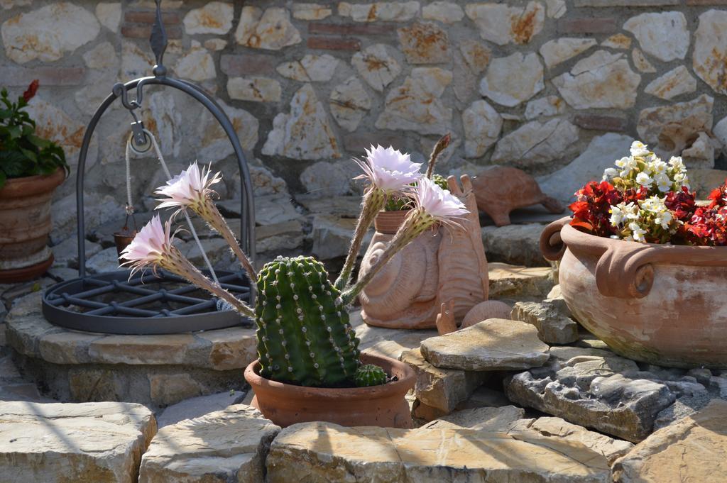 B&B La Casa Fra Gli Olivi Marsciano Kültér fotó